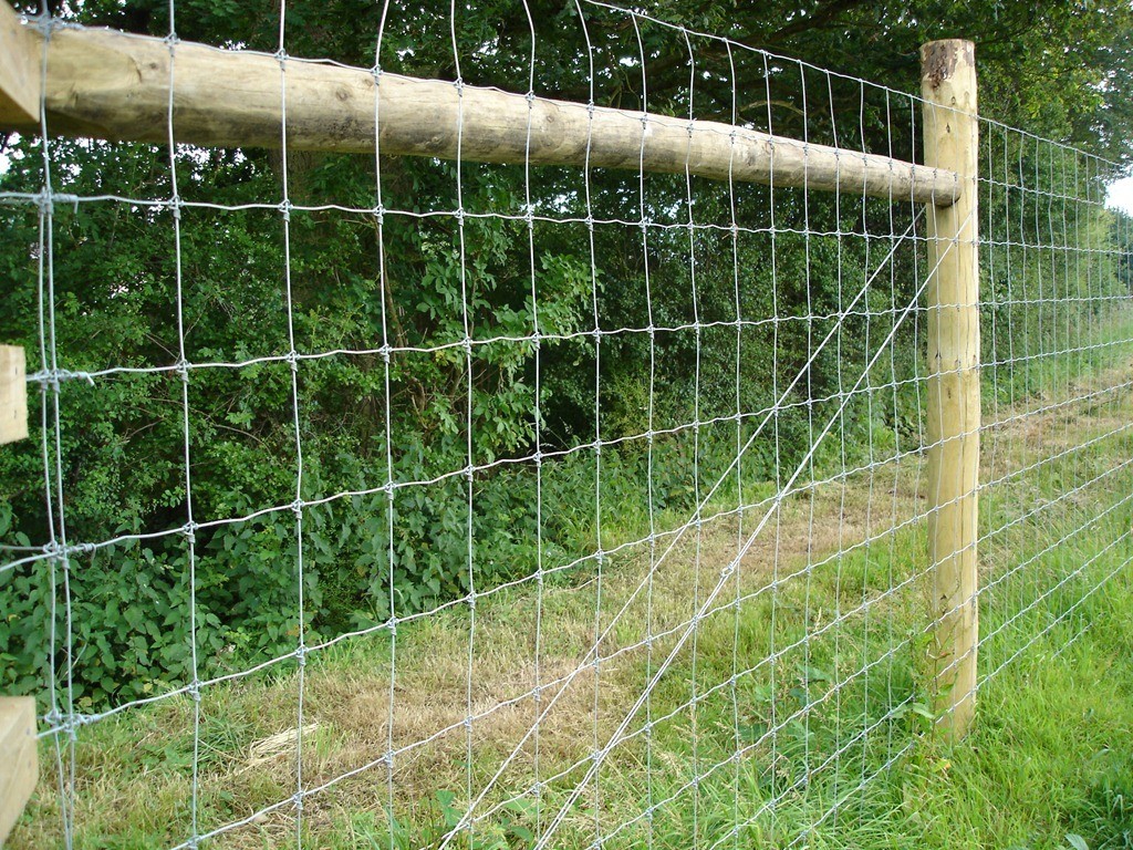 Heavy Duty Field Game Fixed Knot Woven Wire Fence Galvanized Sheep Farm 2.2mm 2.5mm 2.7mm