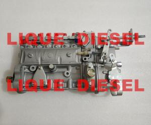Wholesale High pressure fuel injection pump assembly 3976801 6A125A WEIFU from china suppliers