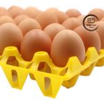 30 Egg Blister Tray Colorful Plastic Crate Durable Thermoformed Plastic Trays