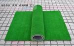 Putting Mat