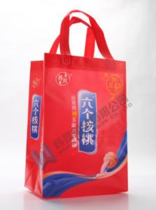 Wholesale Multifunctional Custom Logo Eco Friendly PP Non Woven Bags For Shopping from china suppliers