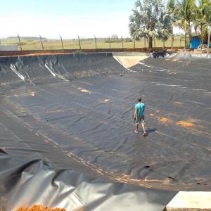 Wholesale 0.75mm Blue HDPE Geomembrane for Shrimp Pond and Fish Farming at Affordable Cost from china suppliers