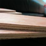 Environmentally Decoration 25mm Bintangor Plywood