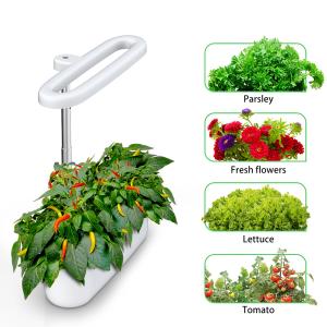 Wholesale BAVA Seed Pod Hydroponic Growing Light 12W Irrigation Ventilation from china suppliers
