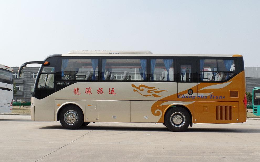 10m Left Hand Drive Coach Bus with Color Design and Luxury Interior