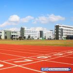 Wear - Resistant Sandwich System Running Track Rubber Field Athletic