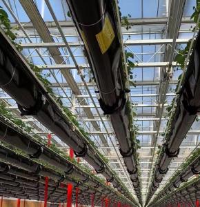 Wholesale Double Layer Agricultural Intelligent Sunlight Greenhouse with Insect Proof Net from china suppliers
