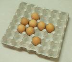 Recycling Egg Carton Forming Machine , Disposable Bowl Making Machine 100kw
