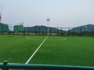 Wholesale Soccer Artificial Turf Grass Football Artificial Grass Sports Flooring For Wholesale from china suppliers