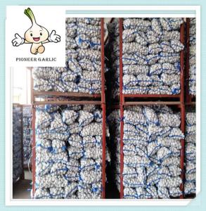 Wholesale Garlic/Garlic Price Per Ton, Hot Sale To More Than 56 Country from china suppliers