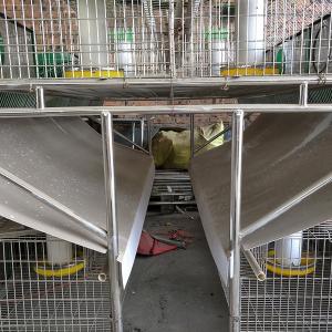 Wholesale Q235 Steel Wire Farm Rabbit Hutch For Commercial Farming from china suppliers