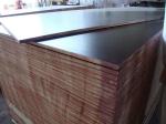 Moisture Proof Brown Plywood Wall Paneling / Film Faced Shuttering Ply 2-30mm