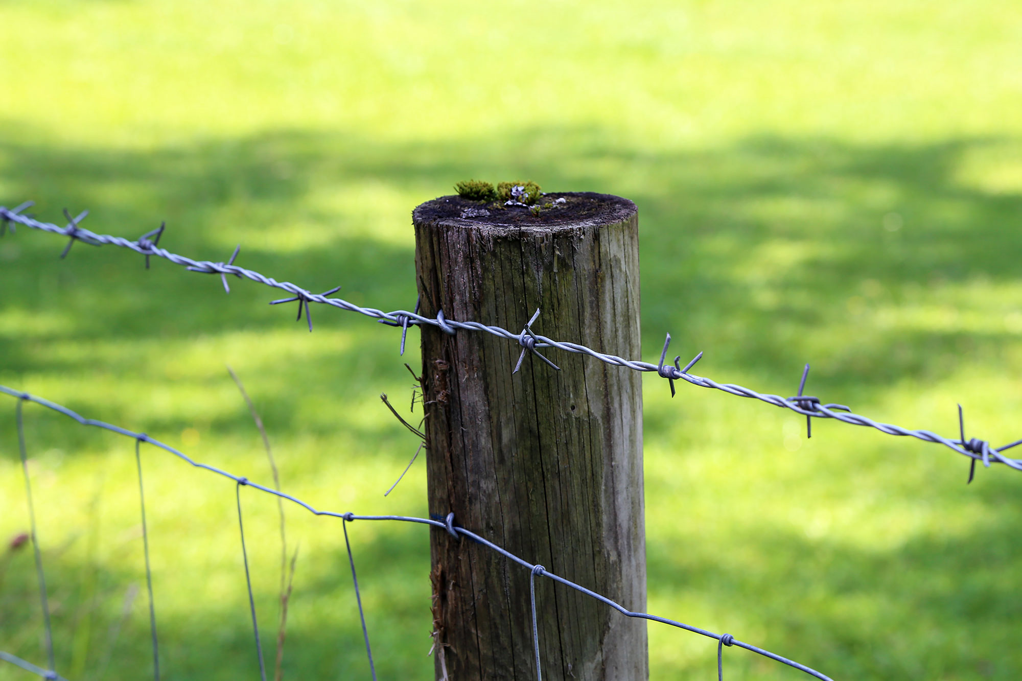 Factory Price 2.5mm Anti-climb Galvanized Barbed Wire Farm Outdoor Twisted Iron Barbed Wire For Sale