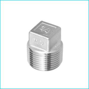 Wholesale Customized Stainless Steel Pipe Fittings Seamless Square Plug SQ from china suppliers