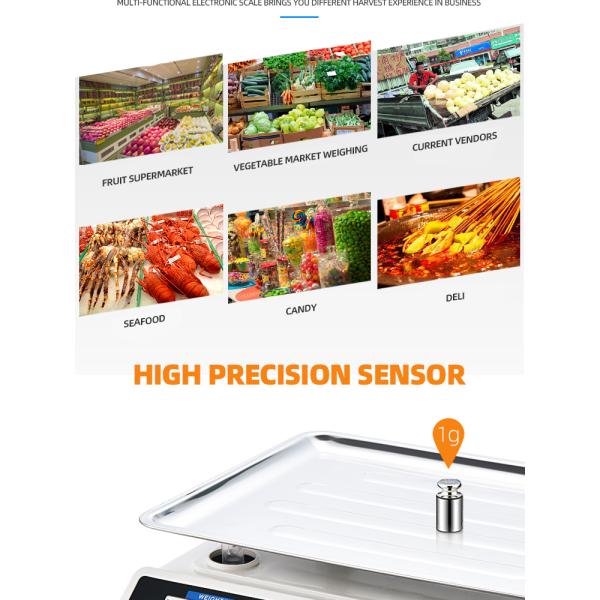 Bench Scale ABS Material Direct Digital 30kg/40kg High Accuracy 1g LED/LCD Display OEM Customizable