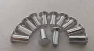 Wholesale WG9231340068 189000340068 Aluminum Rivets 17*10*22 Truck Brake Parts from china suppliers