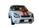 Weding car Gift pull Bow ribbon for wedding car , large gift loop bows for