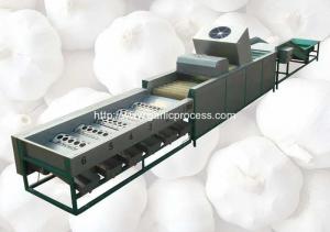Wholesale Automatic Garlic Sorting Machine with Brusher Cleaning Function from china suppliers