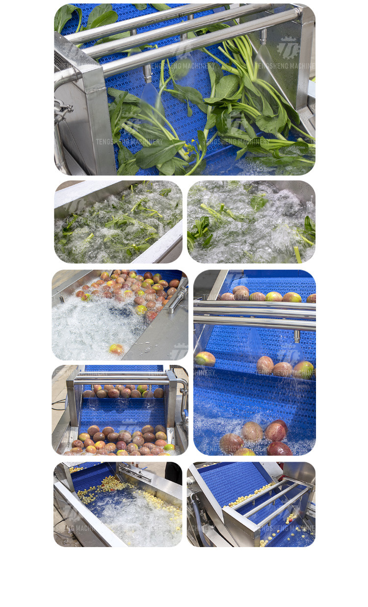 Sludge Stripping Kumquat Fruit Vegetable Washing Machine Water Pump Surfing