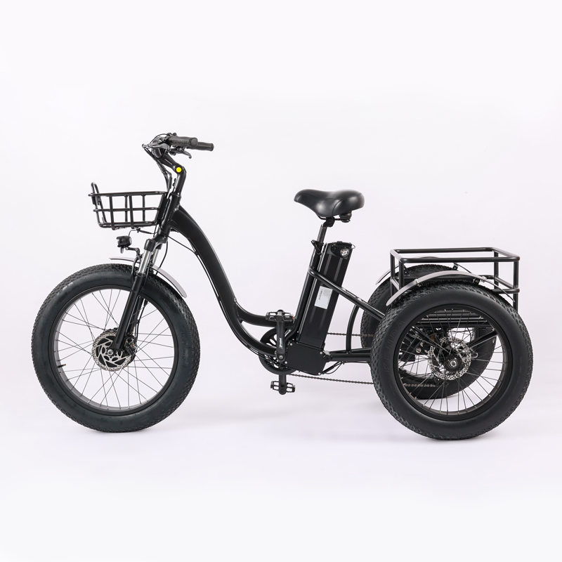 High Capacity Family Cargo Bike with Torque 80-90 Nm and Rear Carrier Battery Position