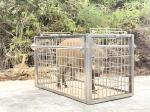 Square Pipe Live Animal Trap Cage Windproof Pest Control Cages