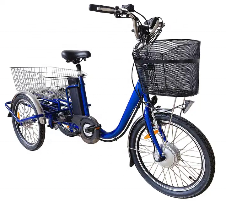 36V 250W Motor 3 Wheel Cargo Bike Tricycle Electric For Adult Derailleur 3 Speed