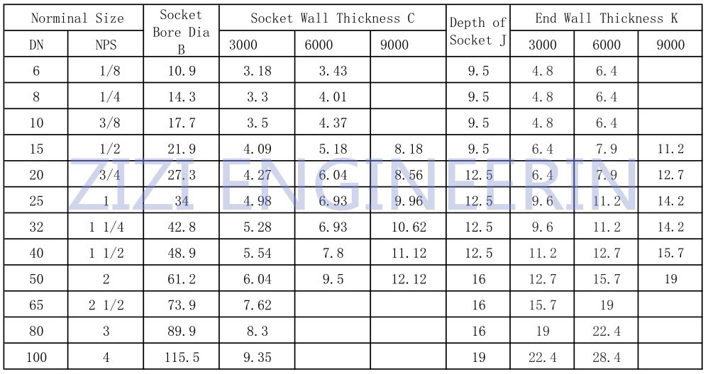 Forged Steel Pipe Fittings Stainless Steel Socket Weld Cap / Threaded Cap