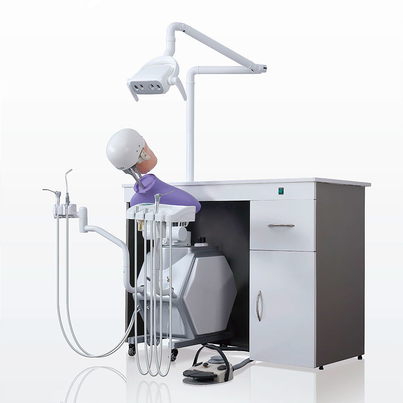 College School Phantom Head Dental Simulator Durable For Dentistry