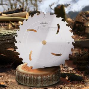 Wholesale Industrial Grade Without Rakers TCT Circular Saw Blades For Long Fibre Wood from china suppliers