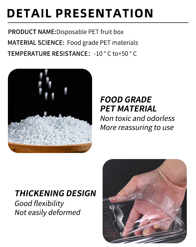 Transparent PET Clear Take Out Containers For Cake Salad Fruit Storage