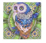 Crystal Rhinestone Diamond Painting Owl Painting Set Full Drill DIY 5D Diamond