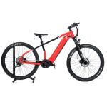 DOMANCA OEM Red City Bike 48V 500W/750W/1000W Bafang Motor Electric Bicycle for