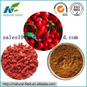 Wholesale manufacture Wolfberry Extract 40%&amp;50% with factory price from china suppliers