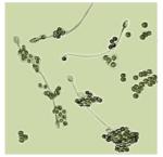 BRED-011 Male Fertility Test Kit for Determination Spermatozoa Male Infertility