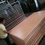Eucalyptus Hardwood Poplar E2 22mm Melamine Faced Birch Plywood