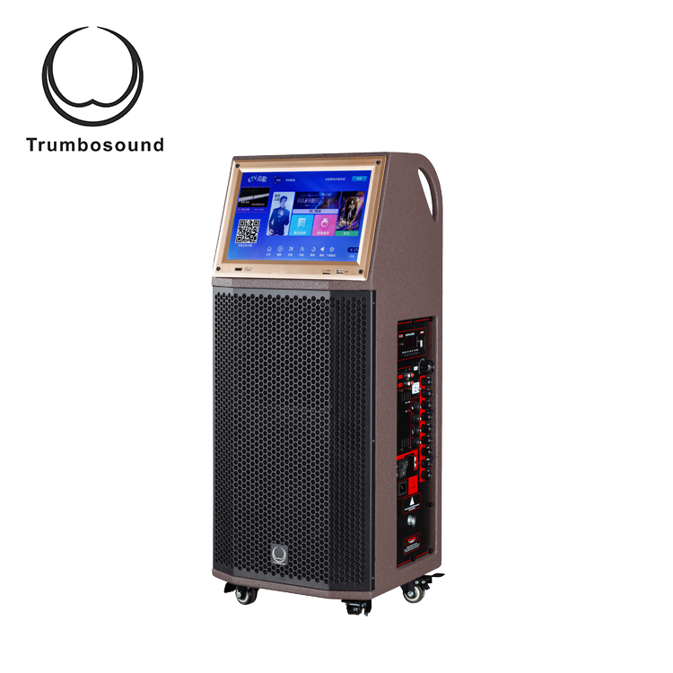 20KHz 95dB 10 Inch Trolley Active Pro Speaker For Tour Guide