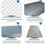 Hot sale china manufacture quality 1/2 inch Chicken Wire Fence Green pvc coated