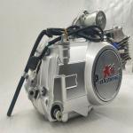 Silver DAYANG LIFAN 125CC Nature AIR-cooled Motorcycle Engine Assembly 3 Wheel