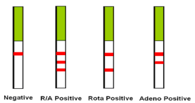10-15 Minutes Rotavirus Adenovirus Test Colloidal Gold Rapid Test