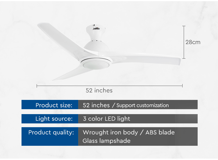 ceiling fan