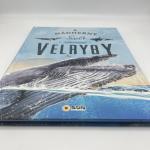 Full Color Children's Book Printing 350gsm C1S / 400gsm C1S Glossy Lamination