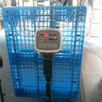 Euro pallet 1200X800 HDPE virgin heavy duty euro pallets from china