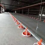 Automatic Poultry Broiler Pan Feed Feeding System for floor ground farm house