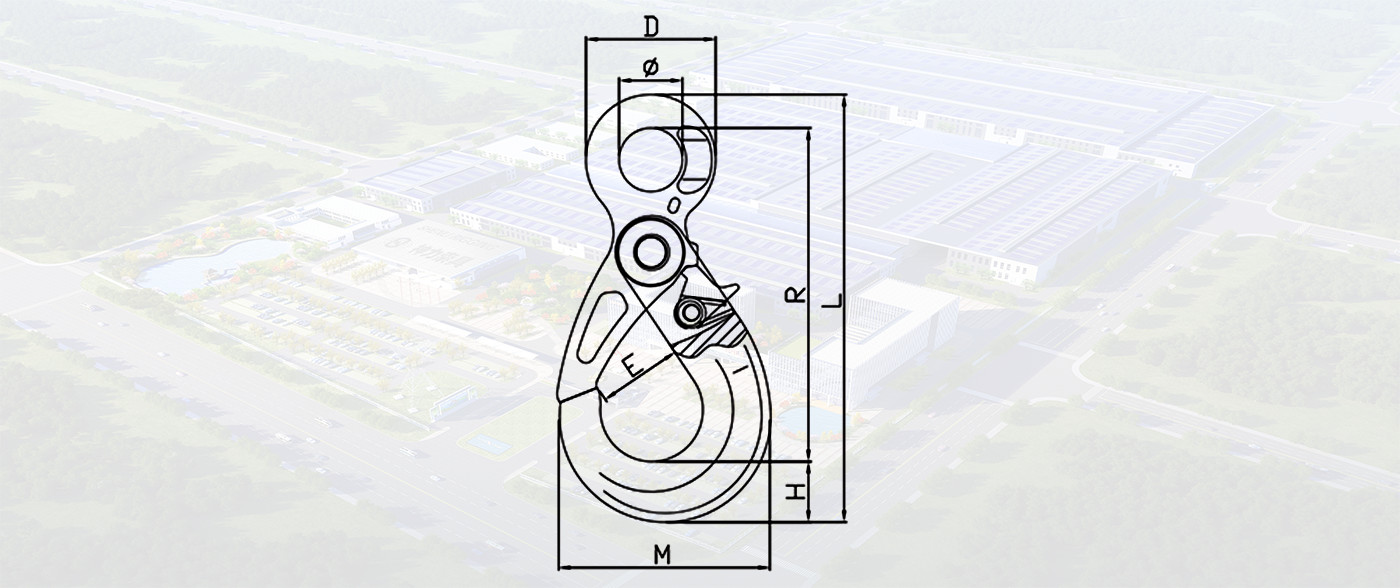 SLR765-G80 EUROPEAN TYPE EYE SELF-LOCKING HOOK