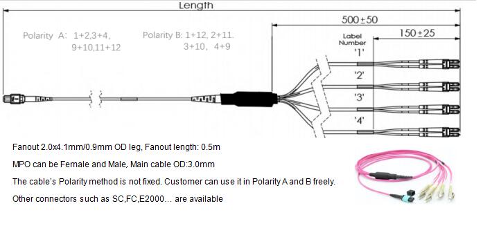 8 Fibers MPO to LC OM4 Fiber Optic MPO-LC 2.0mm Straight harness Cables