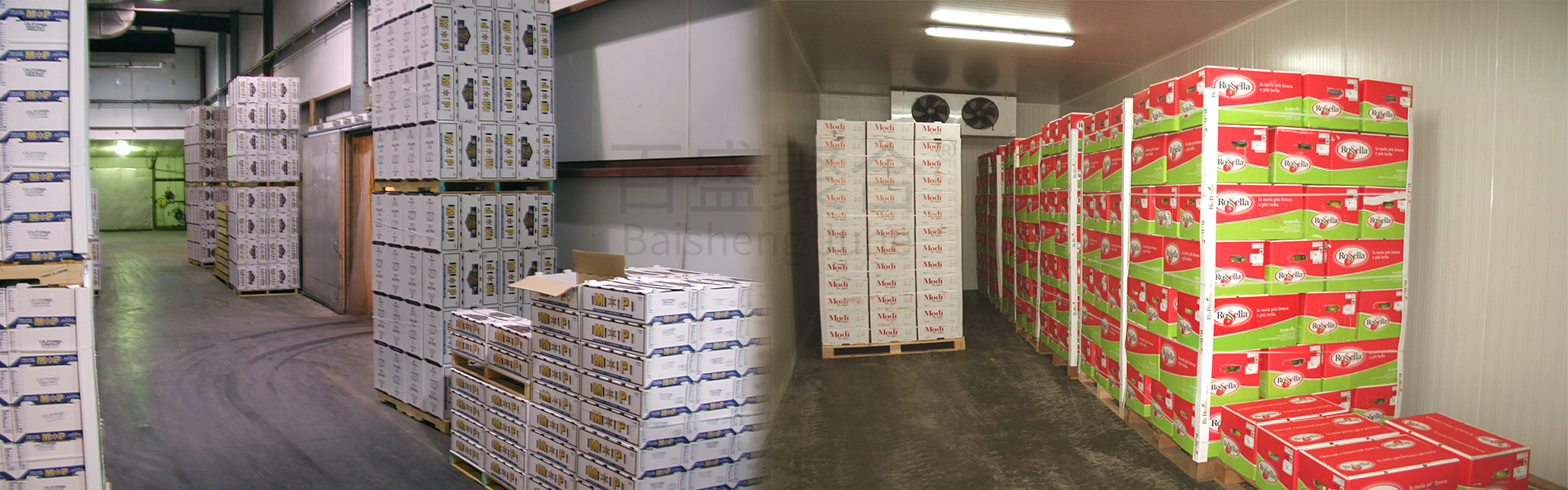 GB Standard Steel Workshop Cold Storage Room 50Ton for Fish Energy-saving Container