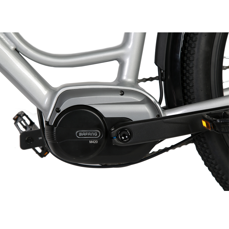Customized City Ebike for Women Max Speed 30-50Km/h 750w Lady Electric Bike 48V 15AH Ebike