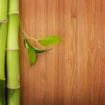 Modern Solid Bamboo Floor For Popular Long Wood Plank Flooring
