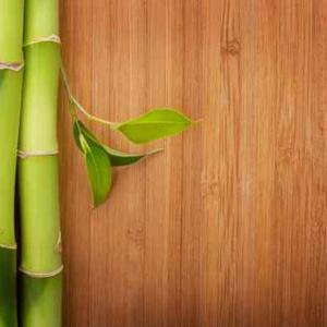 China Natural Beauty Bamboo Floor Tiles 100% Bamboo Flooring For Interiors on sale