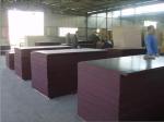 Moisture Proof Brown Plywood Wall Paneling / Film Faced Shuttering Ply 2-30mm